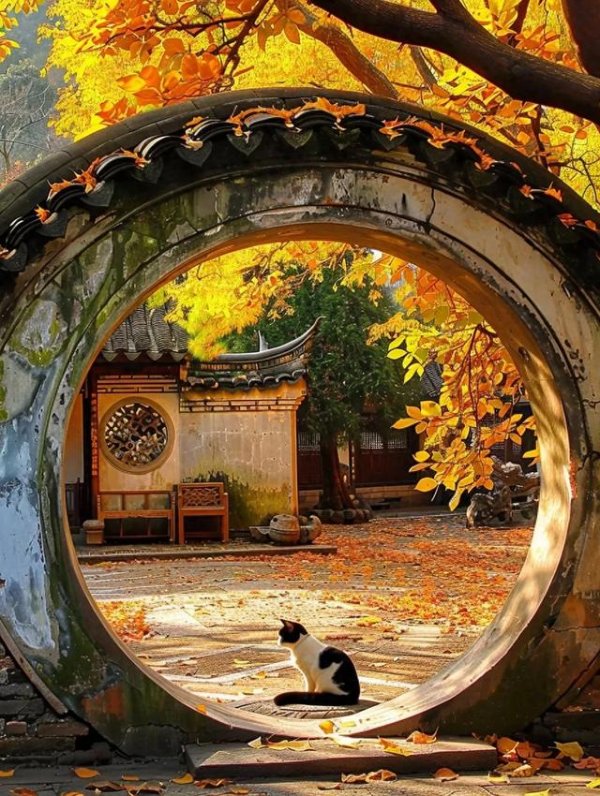 体育游戏app平台江南秋景, 以圆入画, 极致的江南秋色, 得志大家对秋天的期待!-开云滚球「官方」kaiyun官网入口