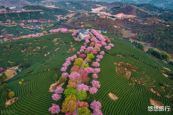 开云体育(中国)官方网站国内领域最大的梨花区-开云滚球「官方」kaiyun官网入口