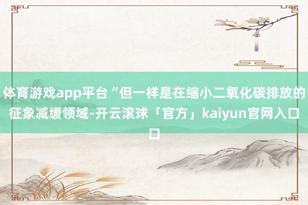 体育游戏app平台“但一样是在缩小二氧化碳排放的征象减缓领域-开云滚球「官方」kaiyun官网入口
