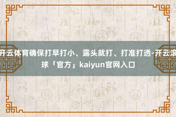 开云体育确保打早打小、露头就打、打准打透-开云滚球「官方」kaiyun官网入口