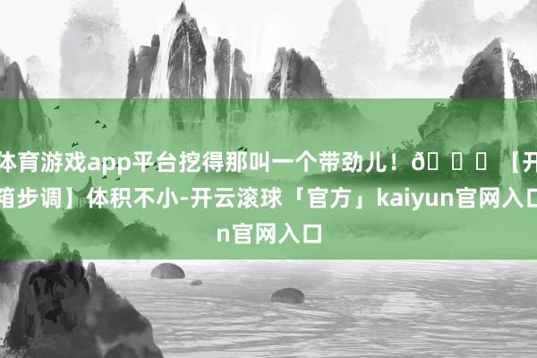 体育游戏app平台挖得那叫一个带劲儿！🎁【开箱步调】体积不小-开云滚球「官方」kaiyun官网入口