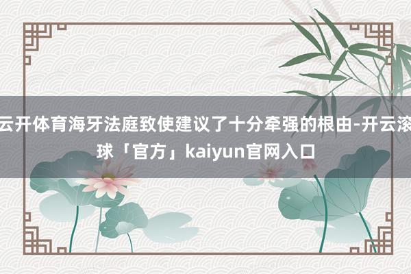 云开体育海牙法庭致使建议了十分牵强的根由-开云滚球「官方」kaiyun官网入口