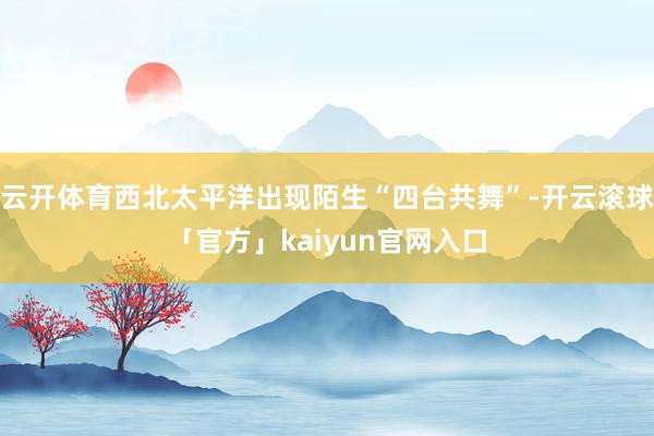 云开体育西北太平洋出现陌生“四台共舞”-开云滚球「官方」kaiyun官网入口